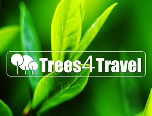 Trees4Travel – Earth Day 22nd April
