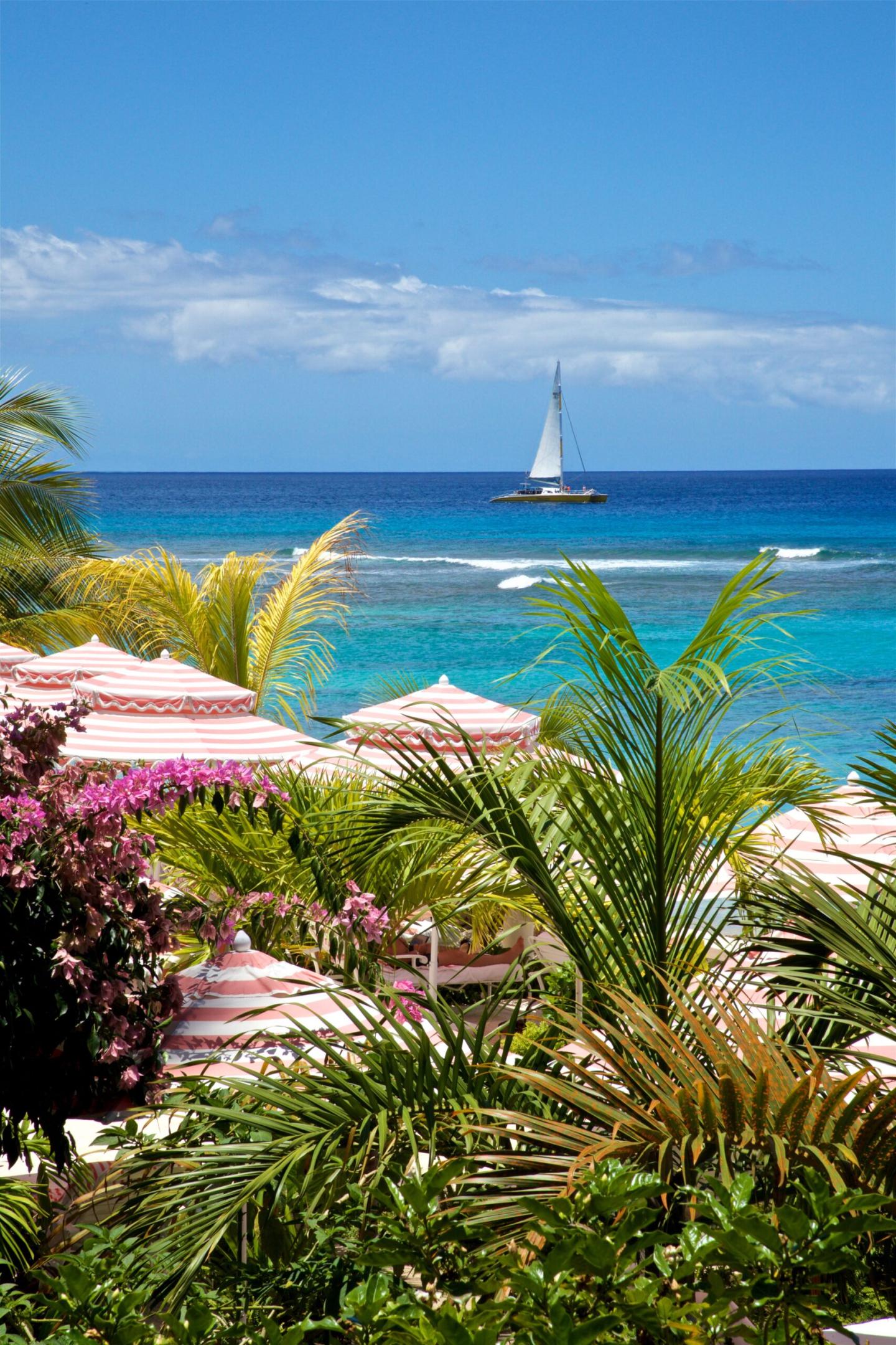 Hotel Of The Month Cobblers Cove Barbados Simplexity Travel