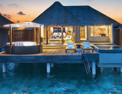 Hotel of the Month – The W Maldives