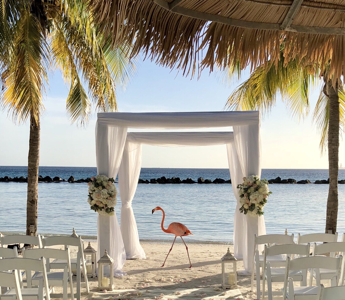 aruba-wedding-flamingo-beach_t20_dovwyn