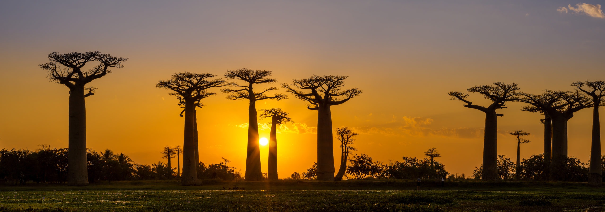 Madagascar – Simplexity Travel